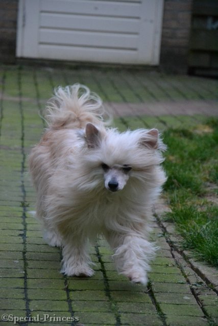 Elphie met haar Farrah Fawcett look